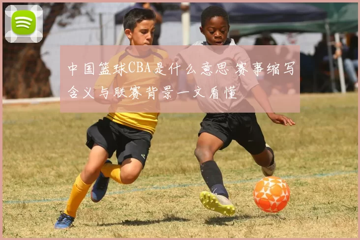 中国篮球CBA是什么意思 赛事缩写含义与联赛背景一文看懂