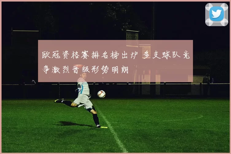 欧冠资格赛排名榜出炉 多支球队竞争激烈晋级形势明朗